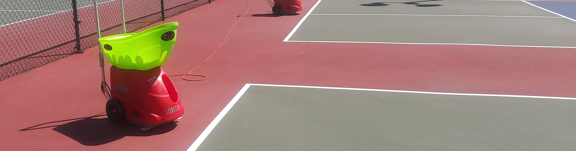 Lobster on court for training